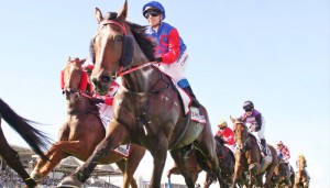 Adelaide Cup 2