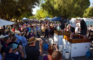 Barossa Gourmet Weekend8