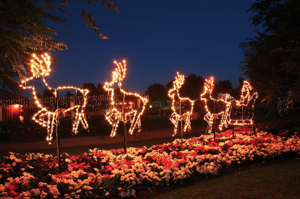 LIGHTS OF LOBETHAL TOURS Come Cruise'n Tours & Charter